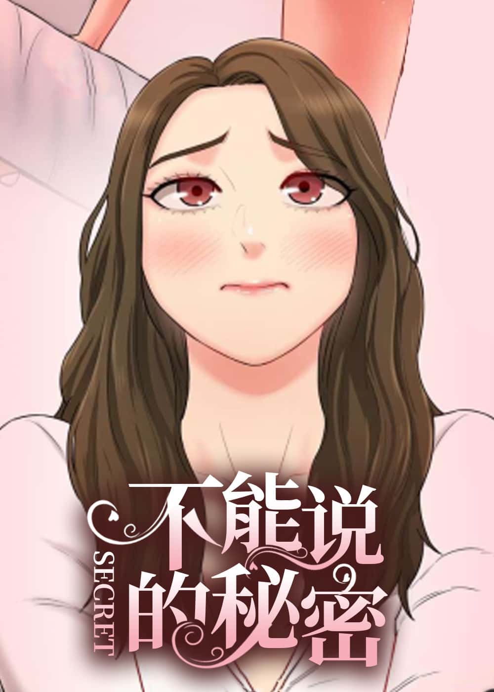 不能说的秘密封面