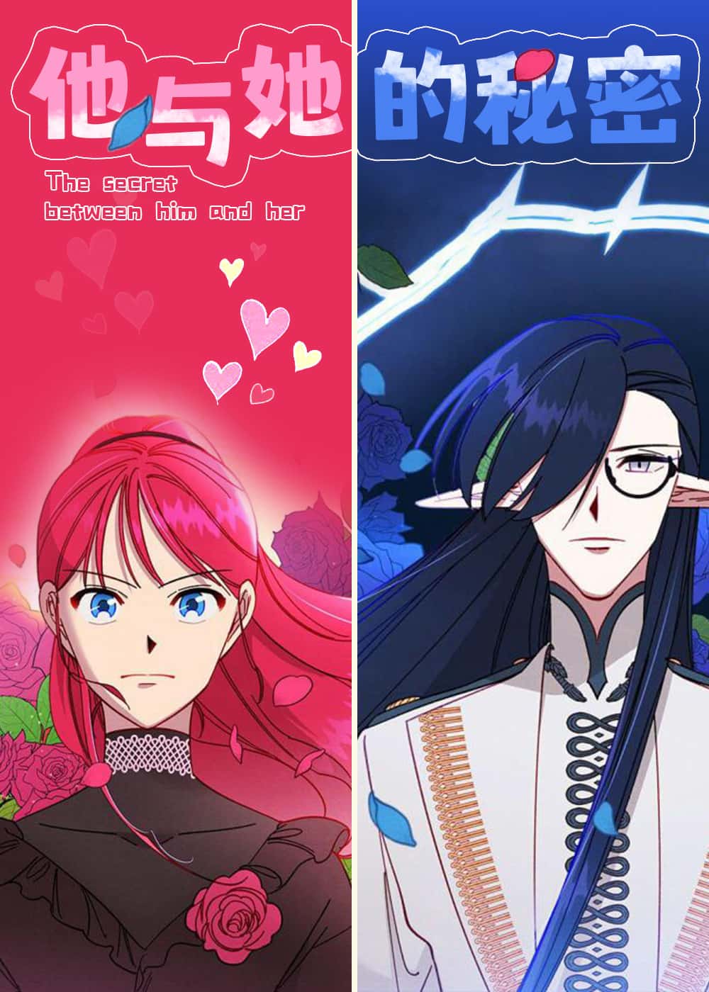 他与她的秘密封面
