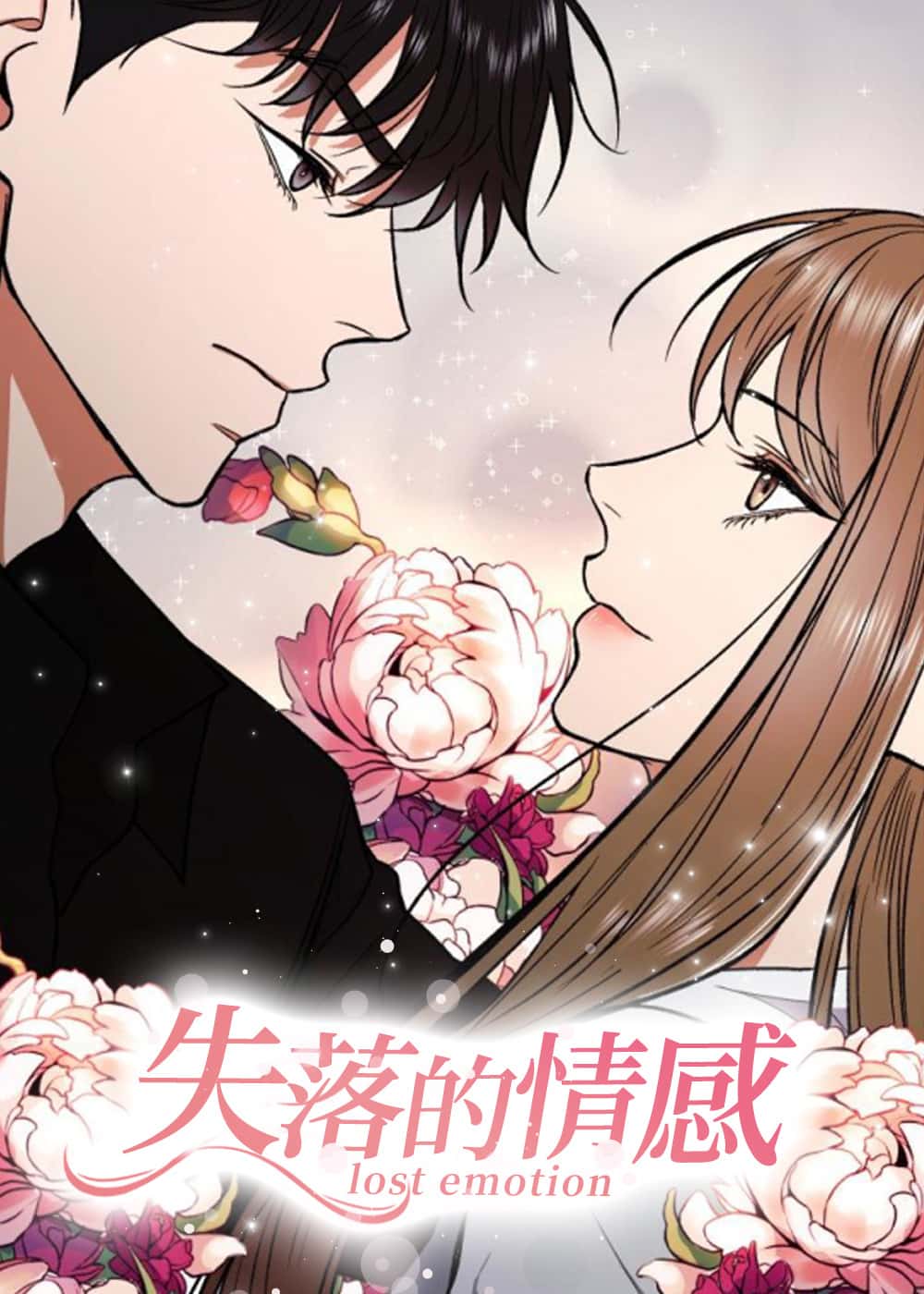 失落的情感封面