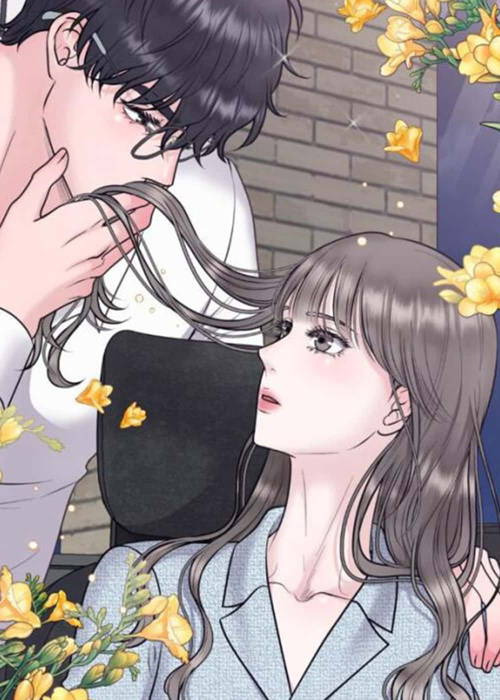 恋爱百分比封面