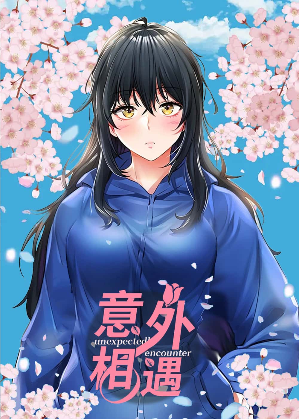 意外相遇封面