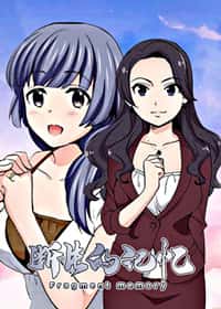 断片的记忆封面