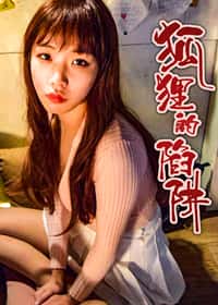 狐狸的陷阱封面