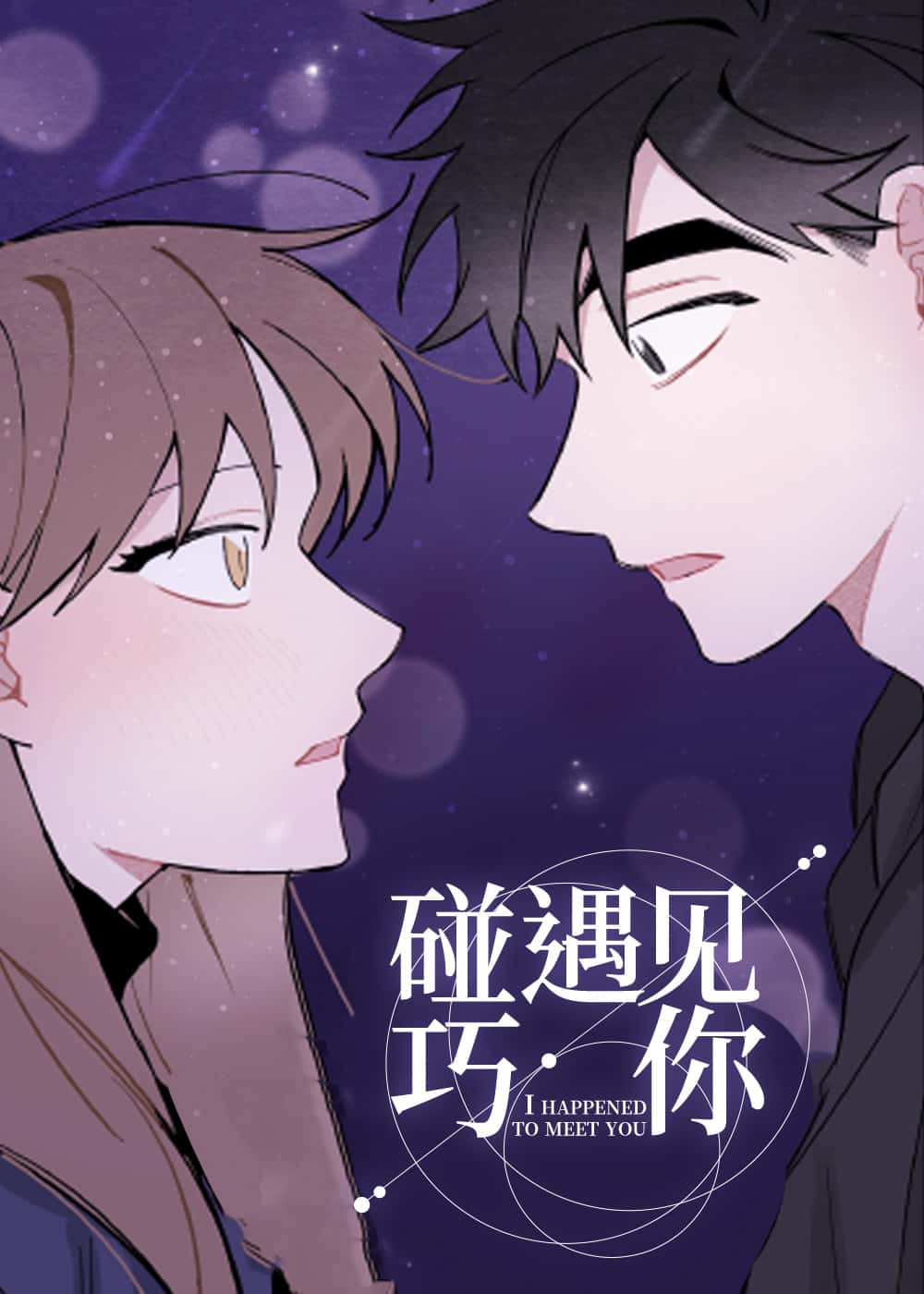 碰巧遇见你封面