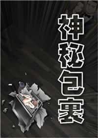 神秘包裹封面