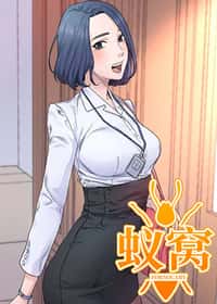 蚁窝封面