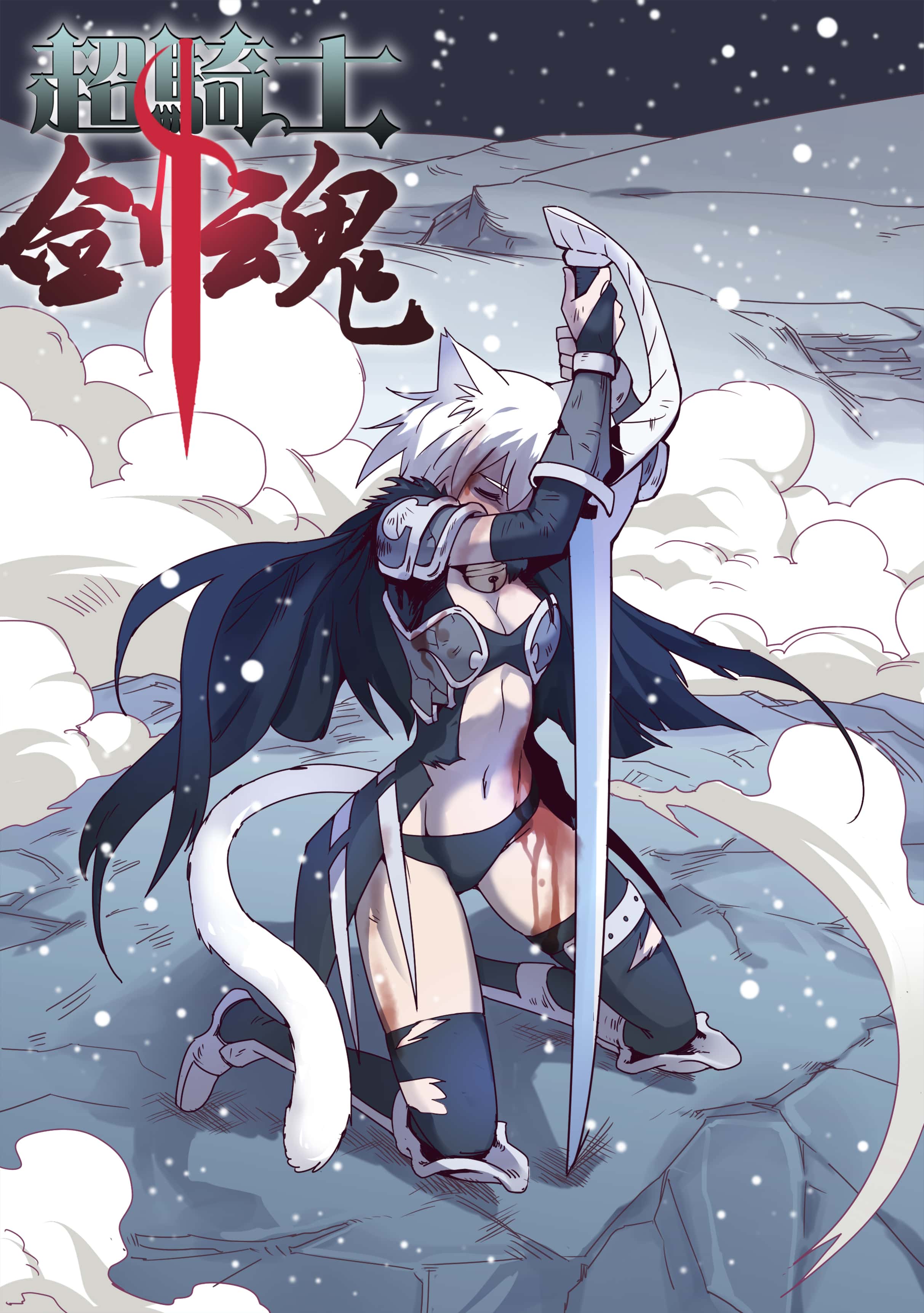 超骑士剑魂封面