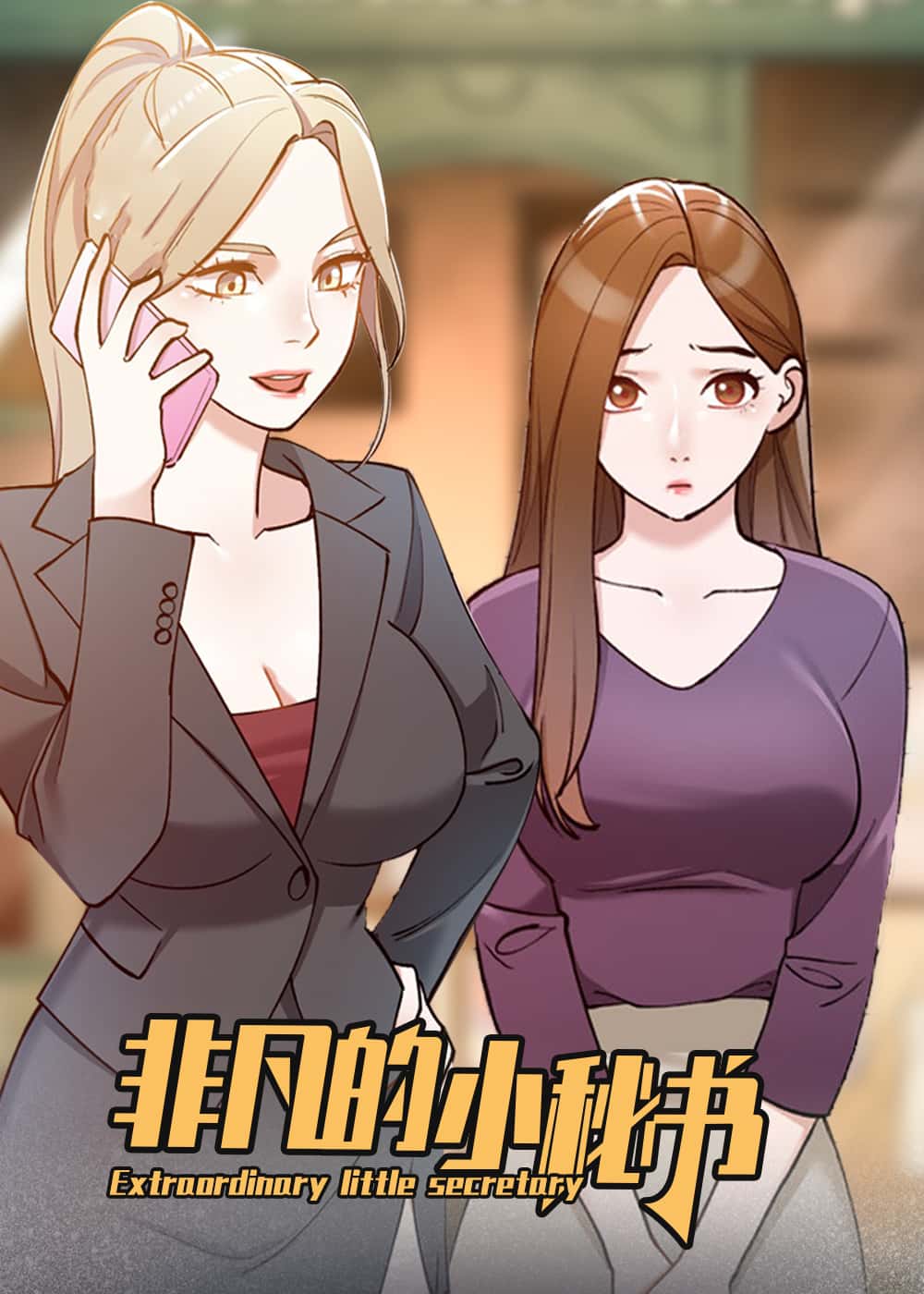 非凡的小秘书封面