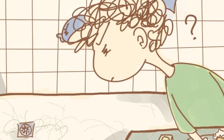 《大马哈鱼丸子的日常》 大马哈鱼丸子 漫画封面