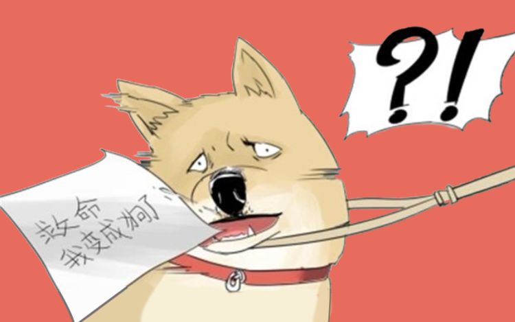 一条狗 使徒子 漫画封面