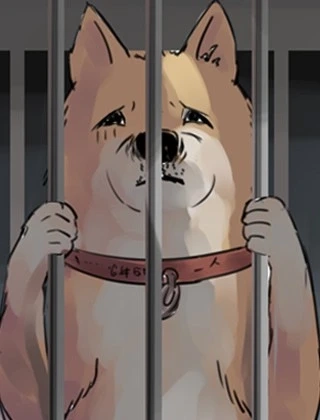 一条狗 [db:作者] 漫画封面