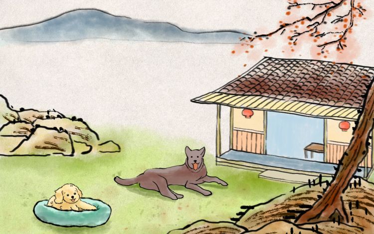 万物有灵之萌宠系列 妙可如是 漫画封面