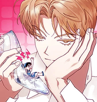 不完美的灰姑娘 [db:作者] 漫画封面