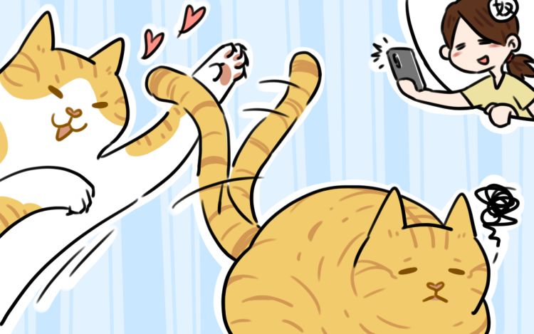 么一嗷喵(卷一) 叽智的啪叽 漫画封面