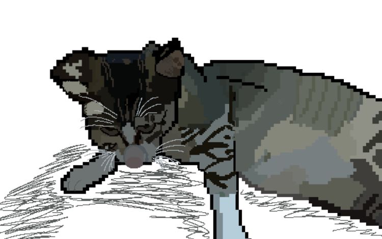 二喵子的日常 【已注销】 漫画封面