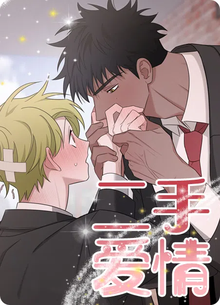 二手爱情 [db:作者] 漫画封面