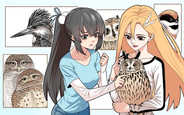 亲羽 小策君 漫画封面