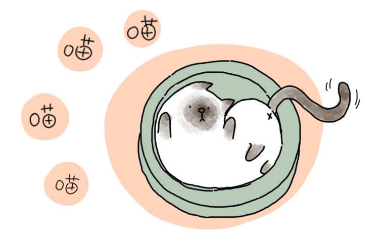 你好，世界 相鱼城1 漫画封面