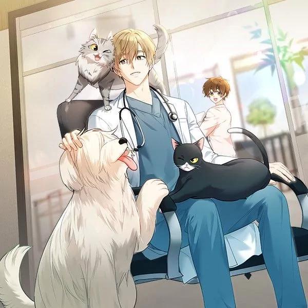 你好？兽医先生！ [db:作者] 漫画封面