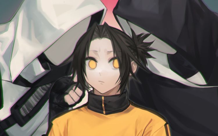 侍书 安佑伸 漫画封面