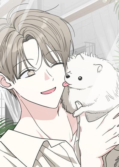 偶像有猫腻 [db:作者] 漫画封面