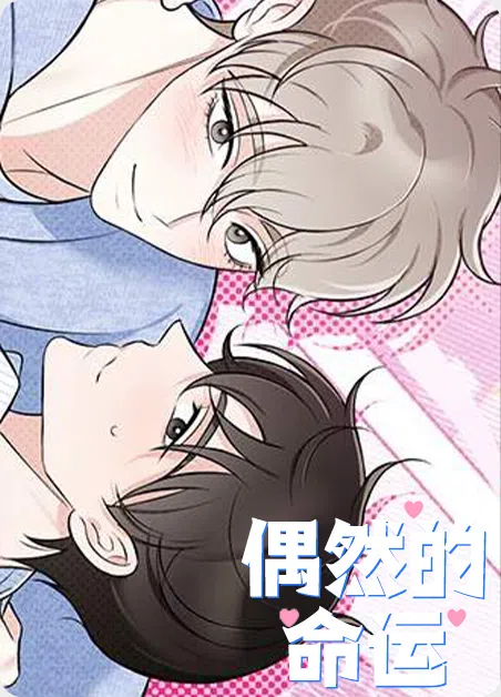 偶然的命运 [db:作者] 漫画封面