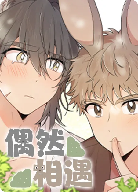 偶然相遇 [db:作者] 漫画封面