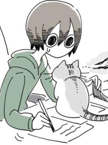 关于养猫我一直是新手 [db:作者] 漫画封面
