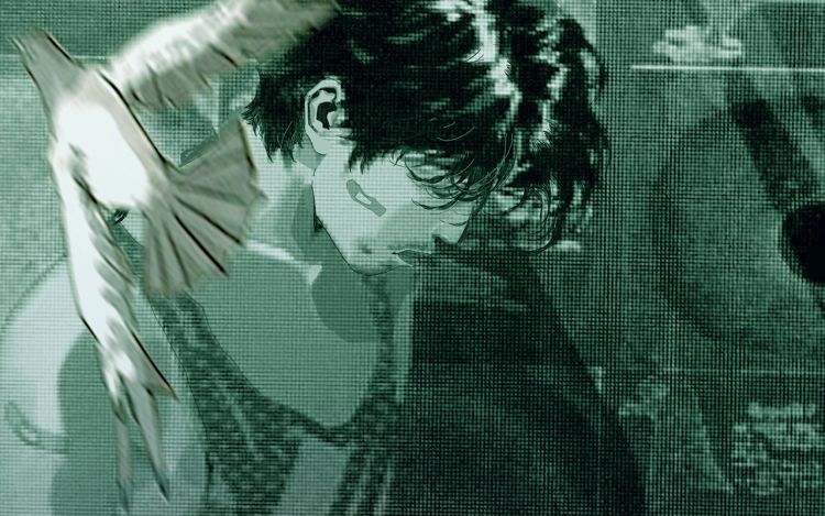 养鸽人 小江河 漫画封面