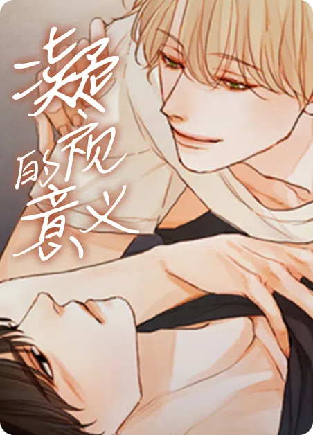 凝视的意义 [db:作者] 漫画封面