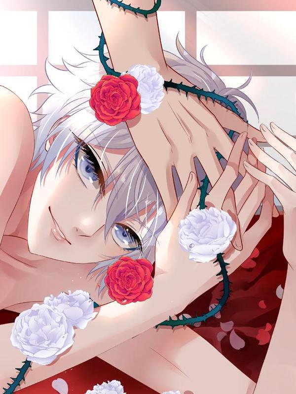 反派总想拆CP [db:作者] 漫画封面