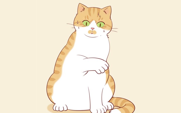 变猫 KK世界居民_6HZSEw 漫画封面