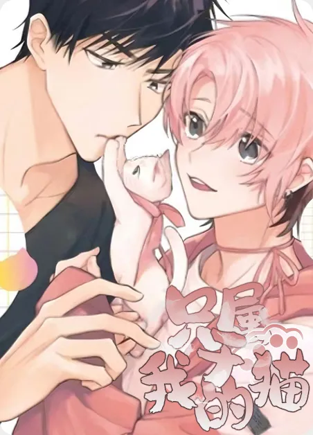 只属于我的猫 [db:作者] 漫画封面