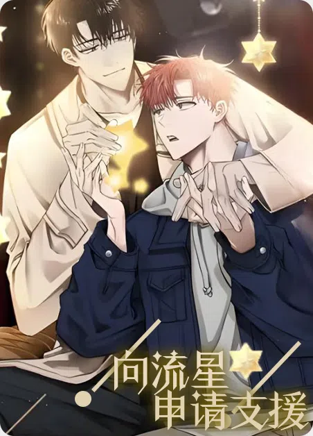 向流星申请支援 [db:作者] 漫画封面