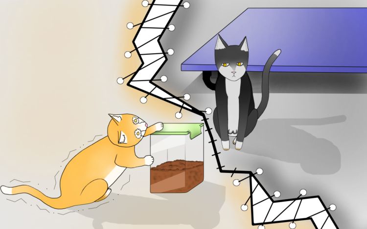 喵们的日常 旭溦 漫画封面