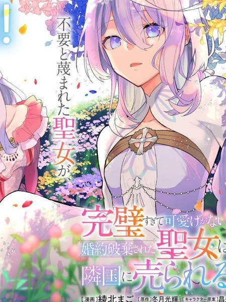圣女因太过完美不够可爱而被废除婚约并卖到邻国 [db:作者] 漫画封面