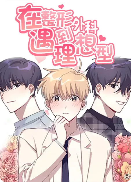 在整形外科遇到理想型 [db:作者] 漫画封面