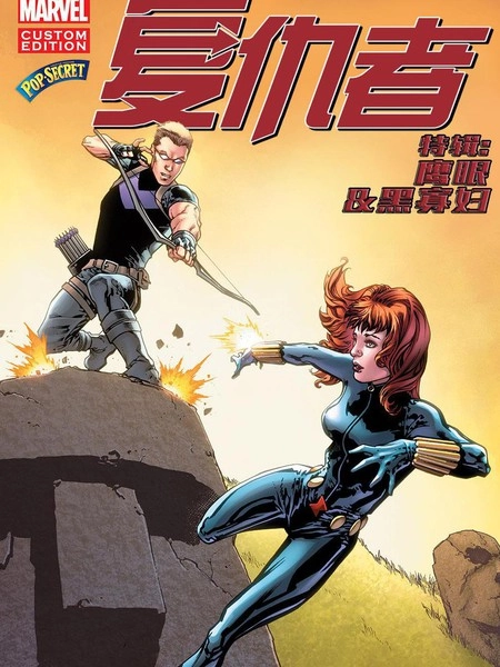 复仇者：置于石中 [db:作者] 漫画封面