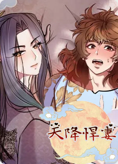 天降悍妻 [db:作者] 漫画封面