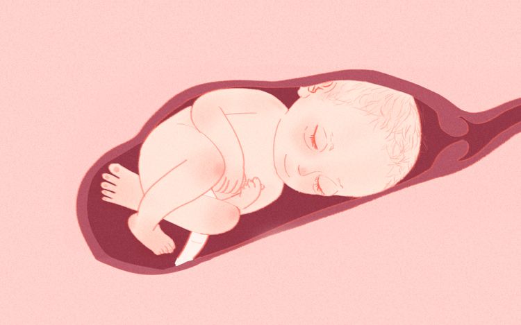 女娃 弯水条鱼 漫画封面