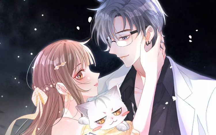 她又又又上热搜啦 安向暖（原著）+暴青漫画 漫画封面