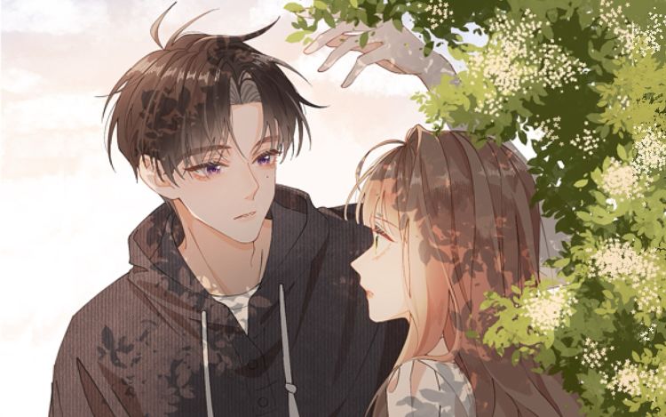 姐姐又又又翻车了 www橘酱www 漫画封面