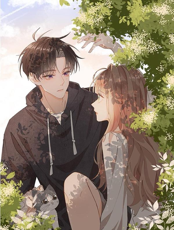 姐姐又又又翻车了 [db:作者] 漫画封面