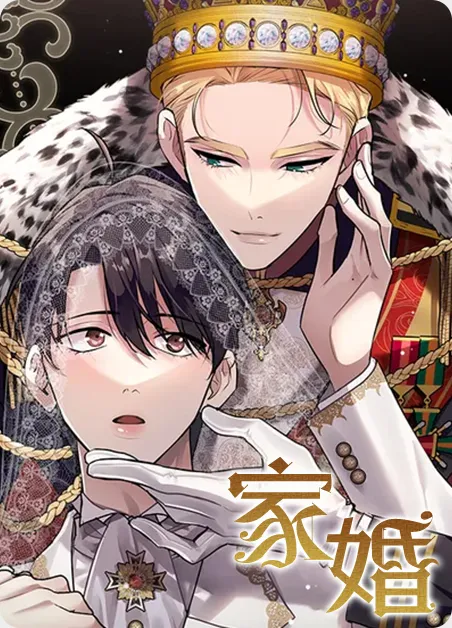 家婚 [db:作者] 漫画封面