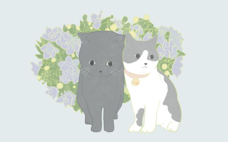 小喵大乖 作者WINNY 漫画封面