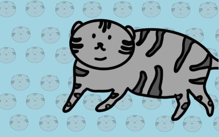 小喵！李胡椒 165佳 漫画封面