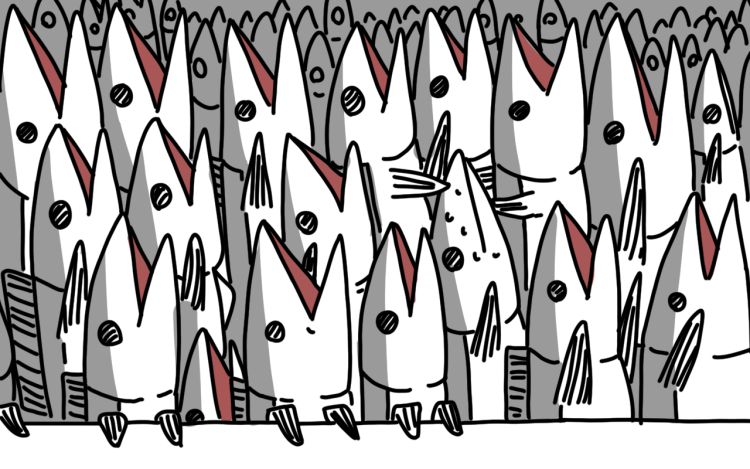 小尖鱼的日常 渔布 漫画封面