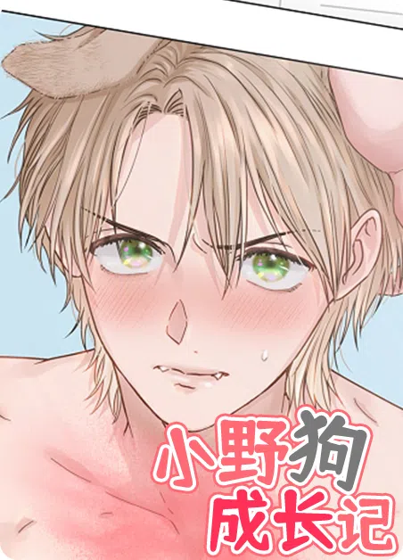 小野狗成长记 [db:作者] 漫画封面