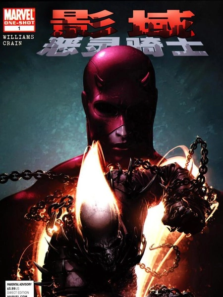 影域恶灵骑士 [db:作者] 漫画封面