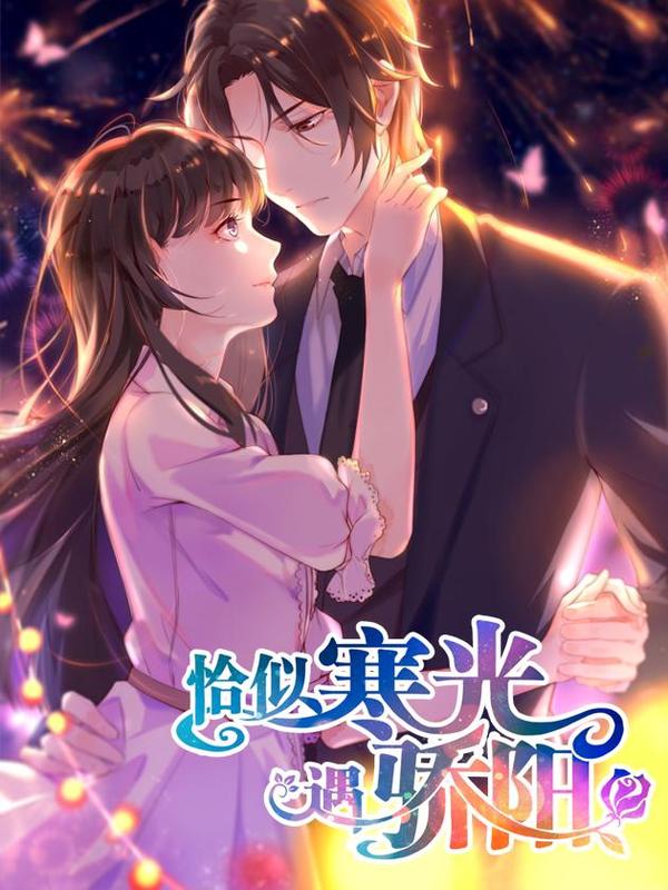 恰似寒光遇骄阳 [db:作者] 漫画封面